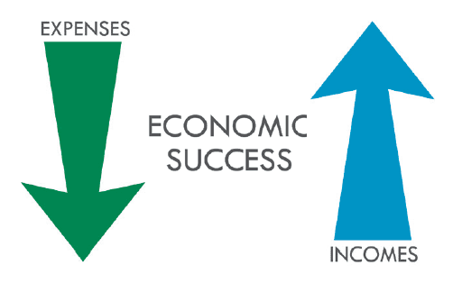 5 Ways to Minimize Debt and Achieve Financial Freedom