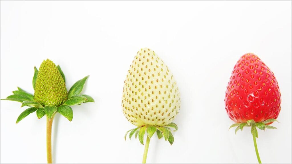 9 Steps to Building a Solid Emergency Fund