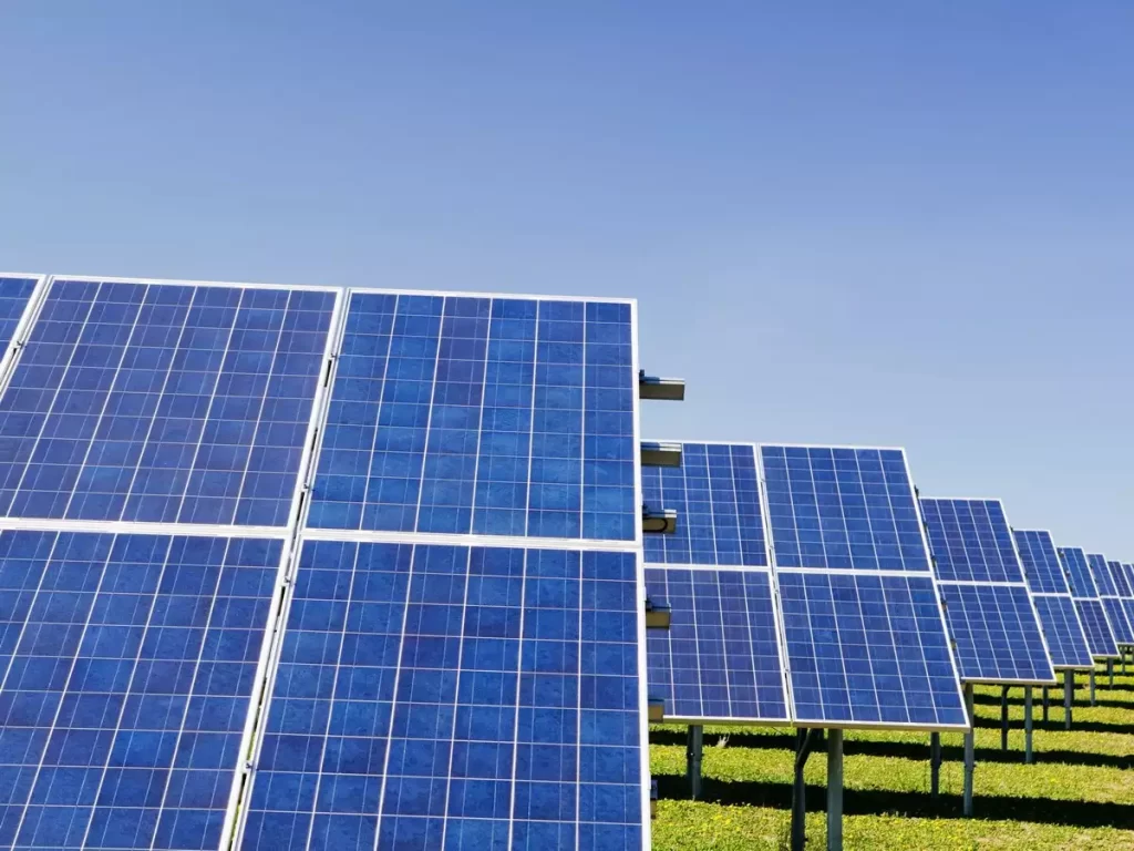 Adani Green Q2 profit jumps 149% to Rs 371 crore, revenue up 40.2% on-year